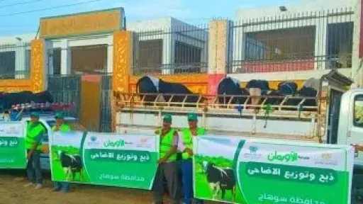 خلال عيد الأضحى.. توزيع 50 ألف كيلو لحوم و50 عجلا على الأسر الأولى بالرعاية بسوهاج