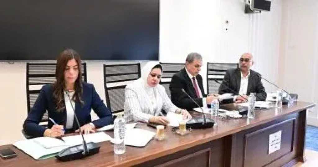 وزير العمل يستعرض أهداف قانون مد الدورة النقابية للمنظمات العمالية أمام النواب