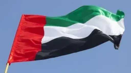 الإمارات تدين اختطاف ناقلة نفط وتؤكد تضامنها الكامل مع مصر
