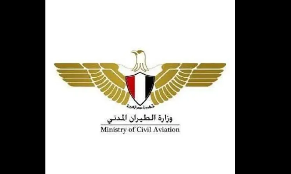 الطيران