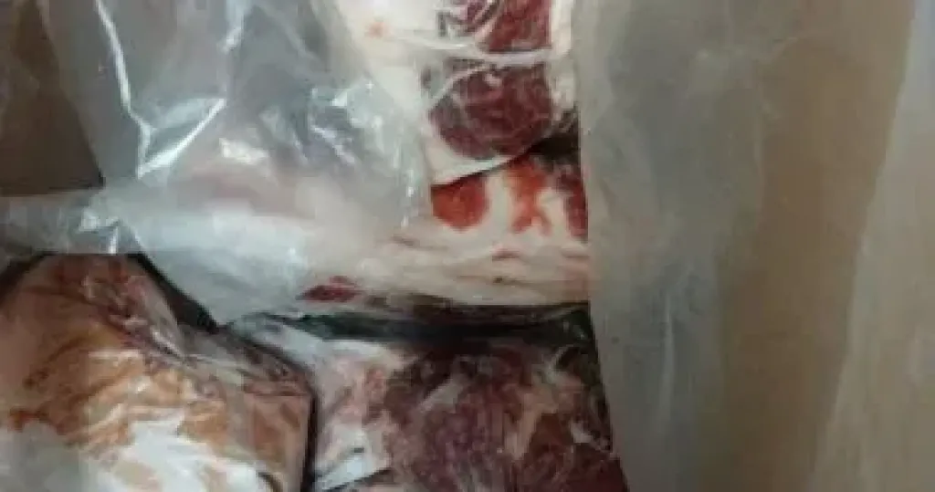 بور سعيد