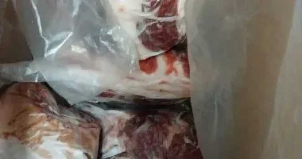 التحفظ على 325 كيلو جرام من لحوم الخنزير المجمدة داخل ثلاجة فى بورسعيد