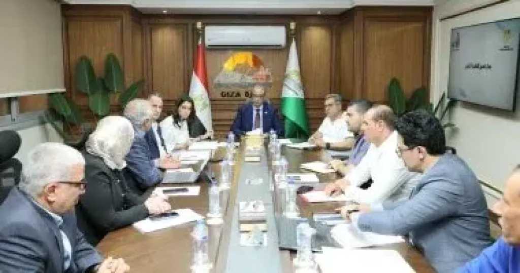 الجيزة: توفير مناطق خدمية وزيادة المسطحات الخضراء بمحيط محور كمال عامر