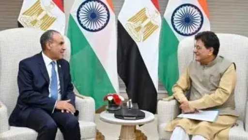 وزير الخارجية يلتقى وزير التجارة والصناعة الهندى على هامش اجتماع البريكس