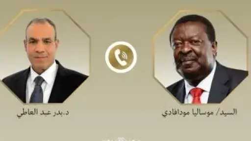 اتفاق مصري كيني على تحقيق الاستقرار في القرن الأفريقي والبحر الأحمر