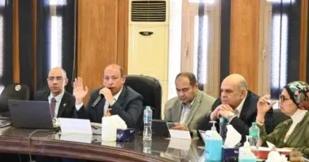 قصر العينى