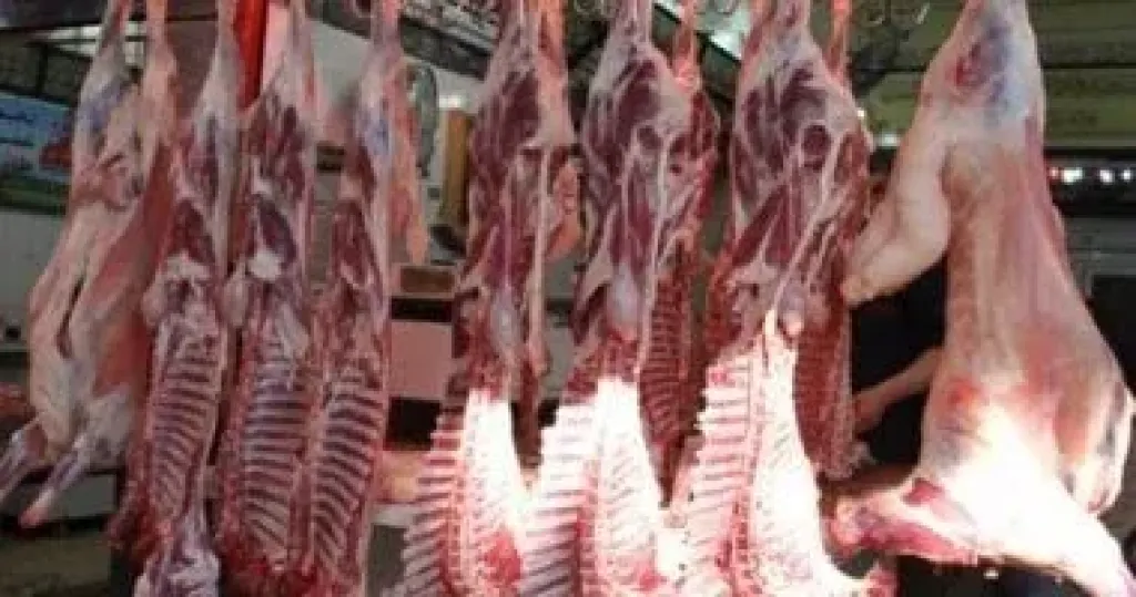 الزراعة