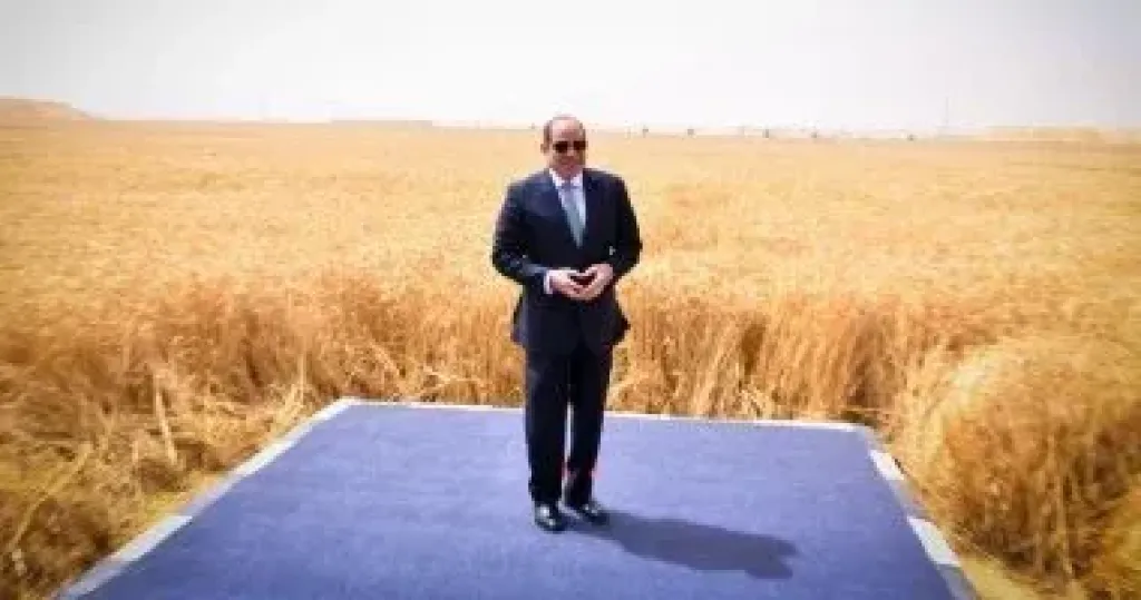 الرئيس السيسى