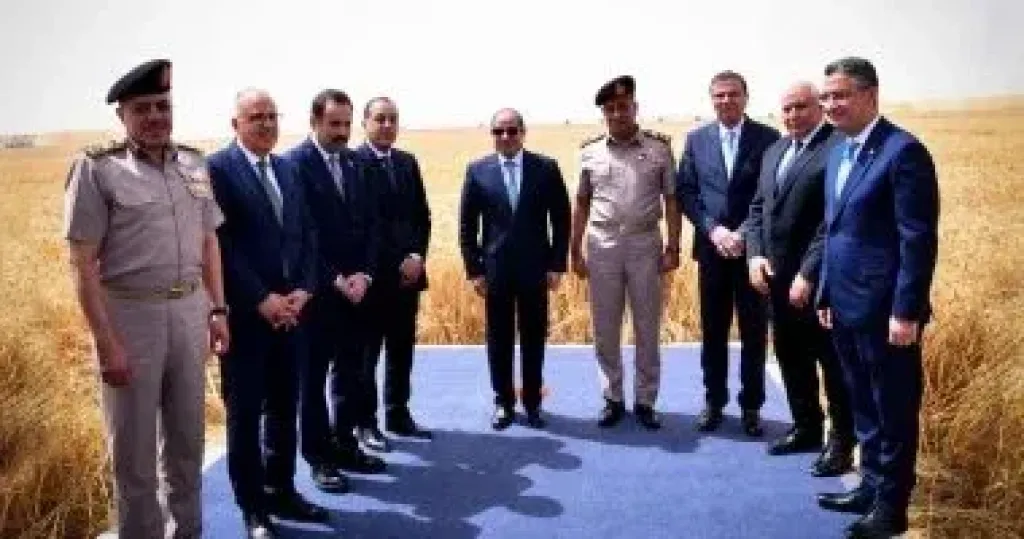 الرئيس السيسى