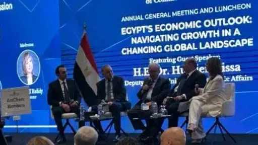 نائب رئيس الوزراء: طرح 10 شركات جديدة فى البورصة منها بنك خلال العام الجاري