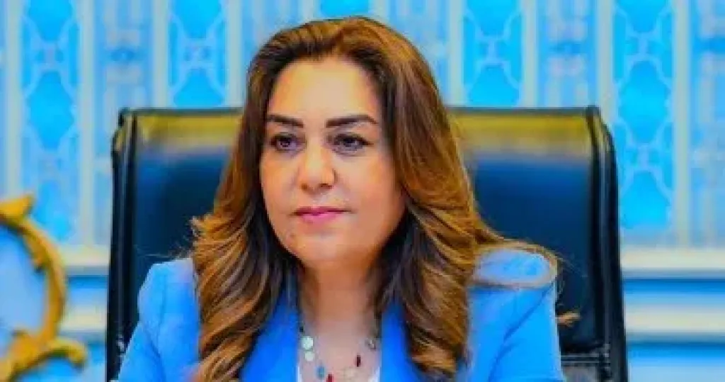 التنمية المحلية