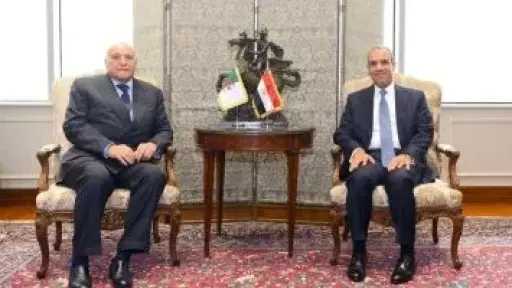 تحرك مصرى جزائرى عاجل بشأن ليبيا
