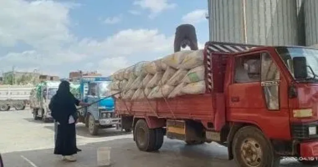 محافظ سوهاج: 