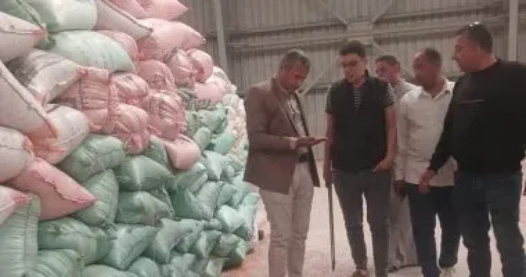 المنوفية