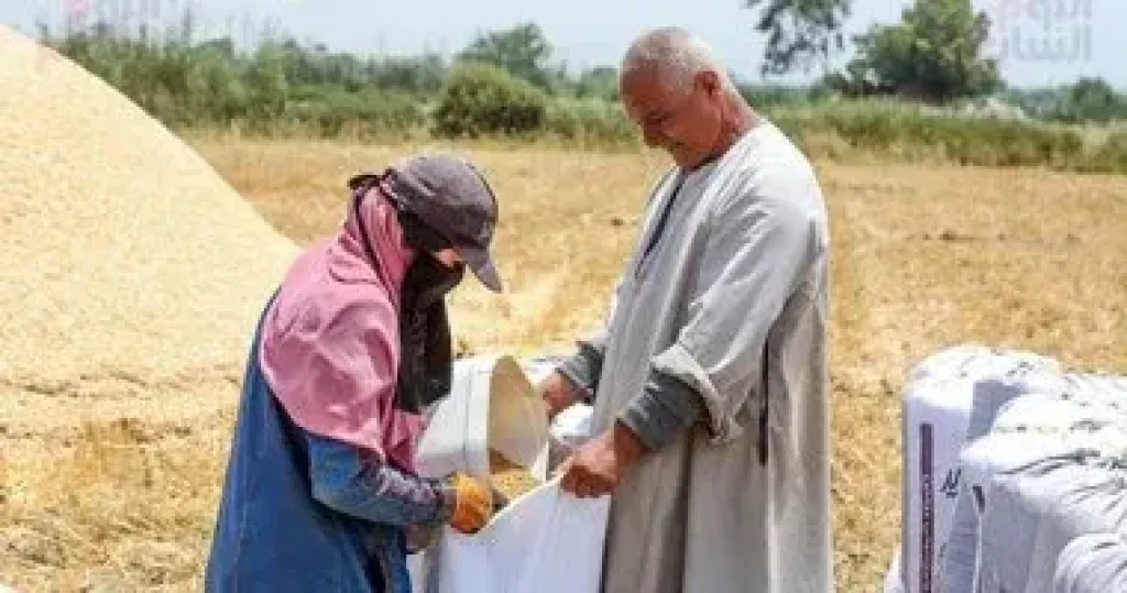 محافظة البحيرة