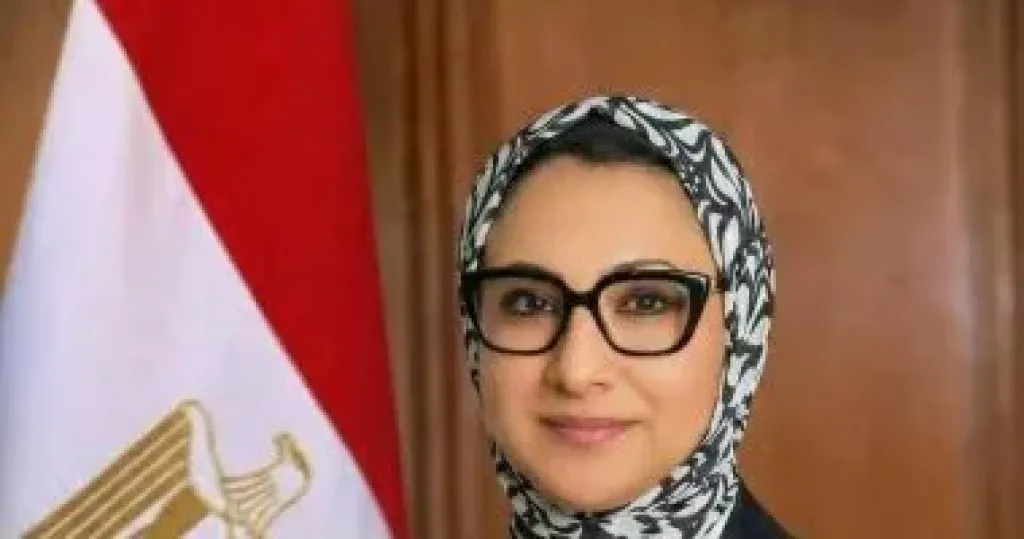 محافظ الوادى الجديد: 