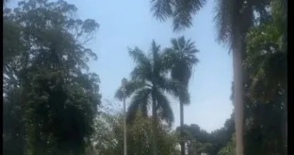 القنطر