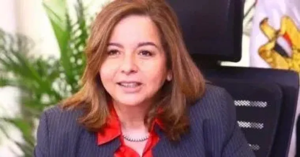 الاسكان 