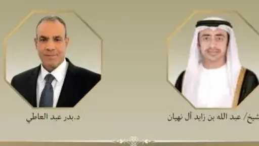 وزير الخارجية يبحث مع نظيره الإماراتي التطورات الإقليمية