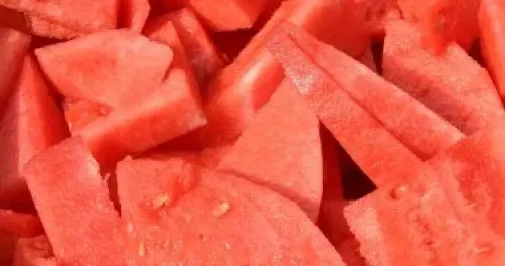 البطيخ 