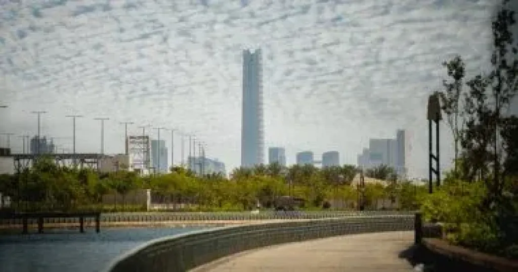 الاستثمار 