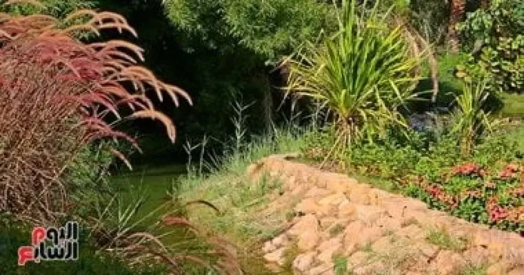 المنتزهات