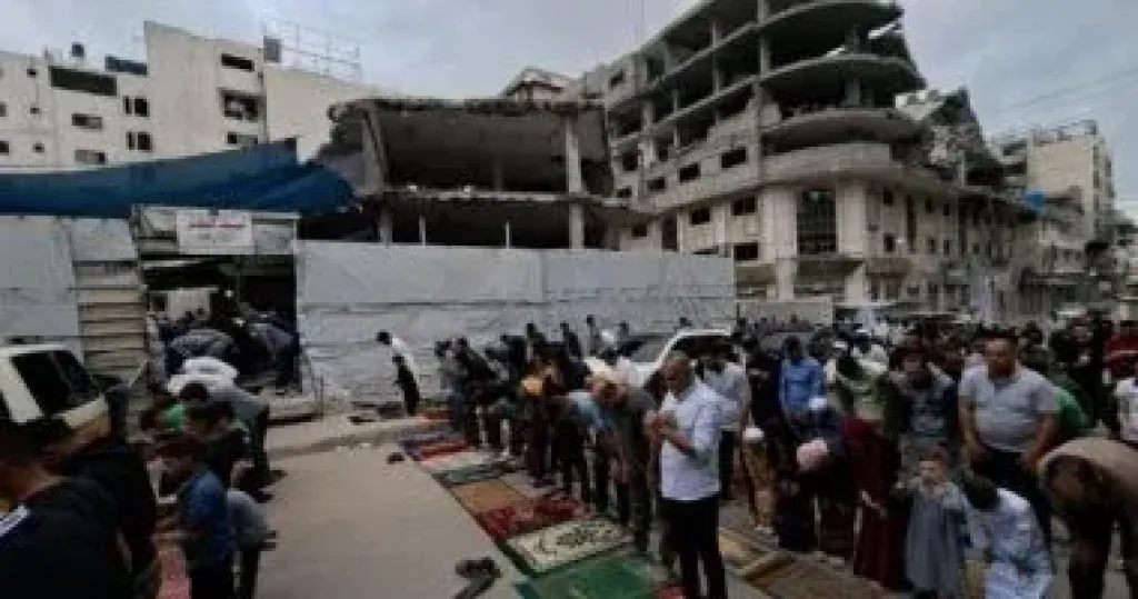فلسطين 