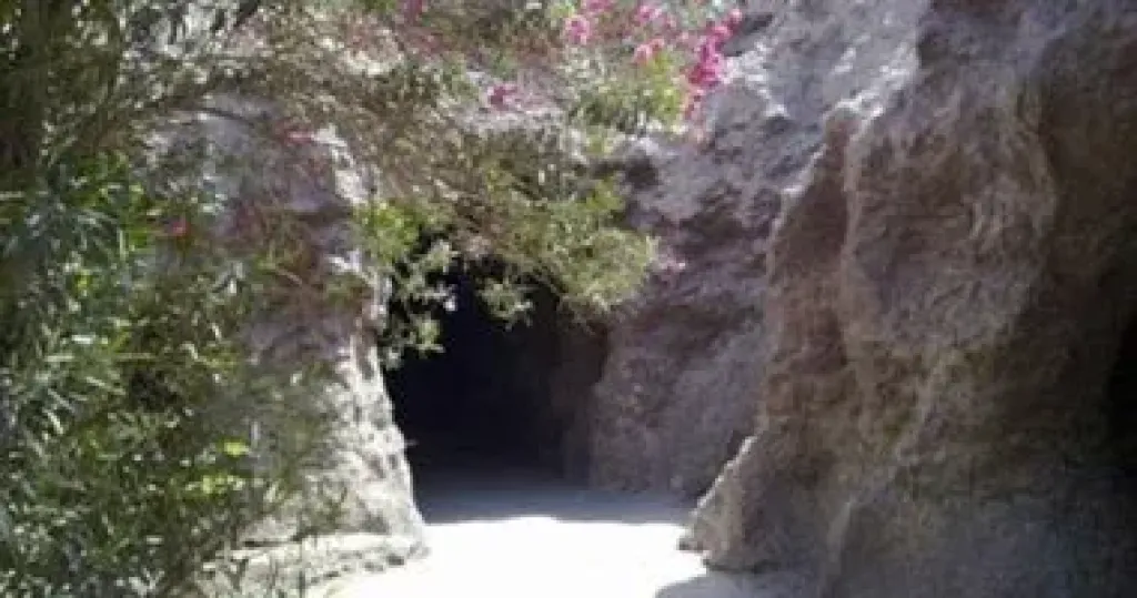 الحديقة 