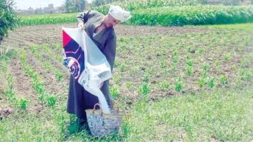 الزراعة: خطة لتوفيرالأسمدة للمحاصيل الصيفية