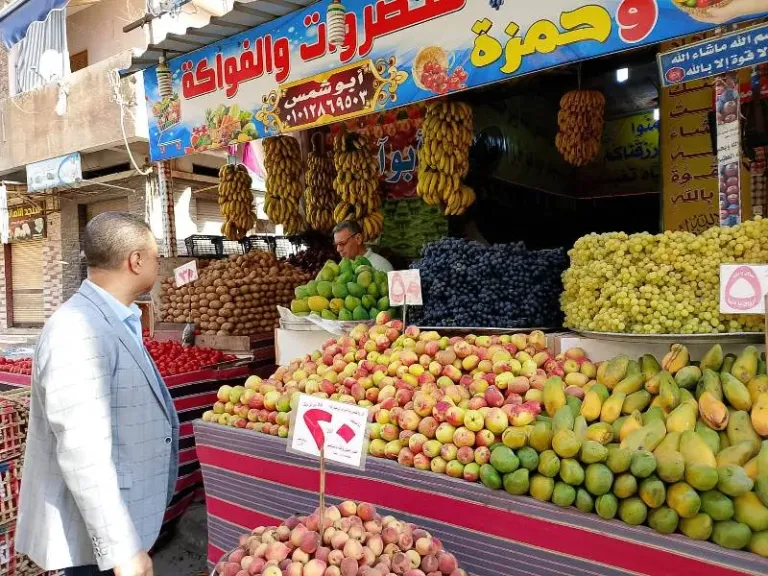 تموين مطروح