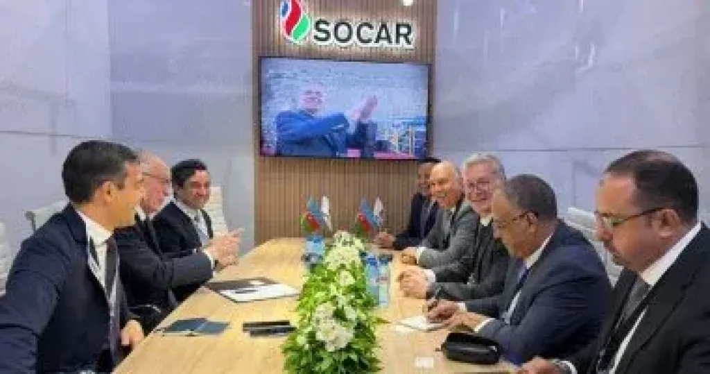 وزير البترول 