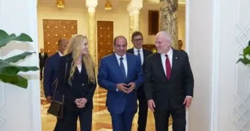  الرئيس السيسى 