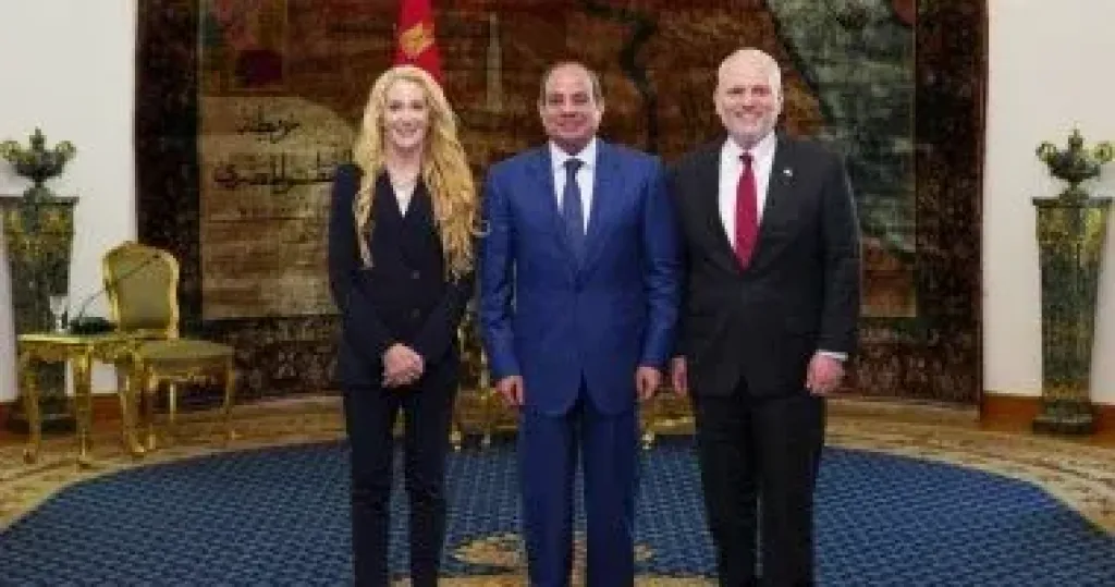 الرئيس السيسى 