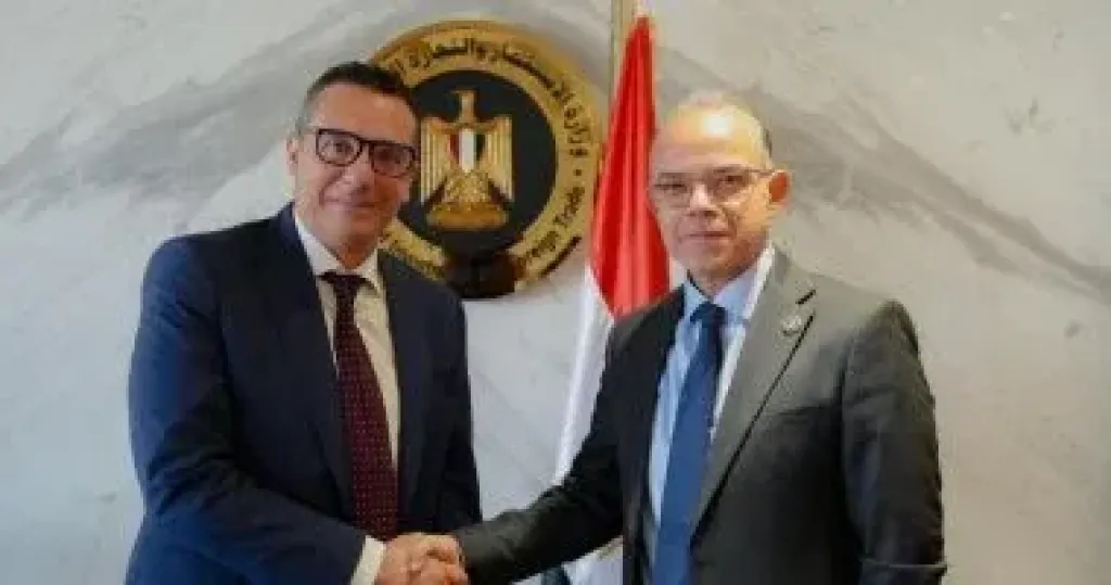 وزير الاستثمار 