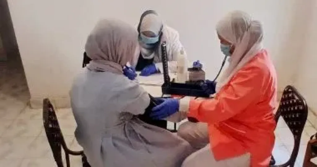 الدقهلية