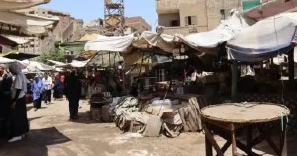 محافظ القليوبية