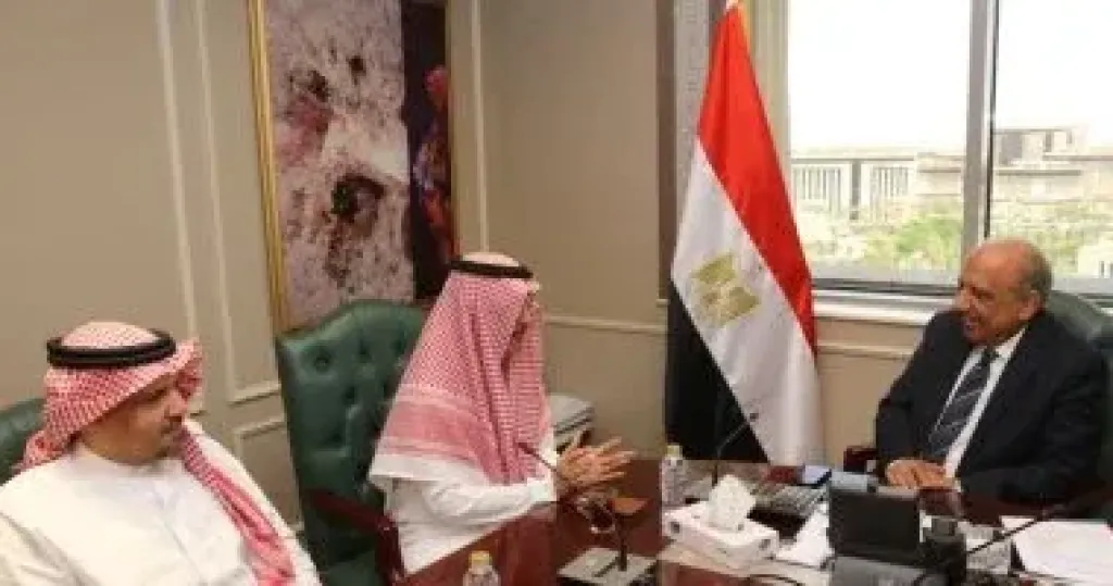 وزير الكهرباء 