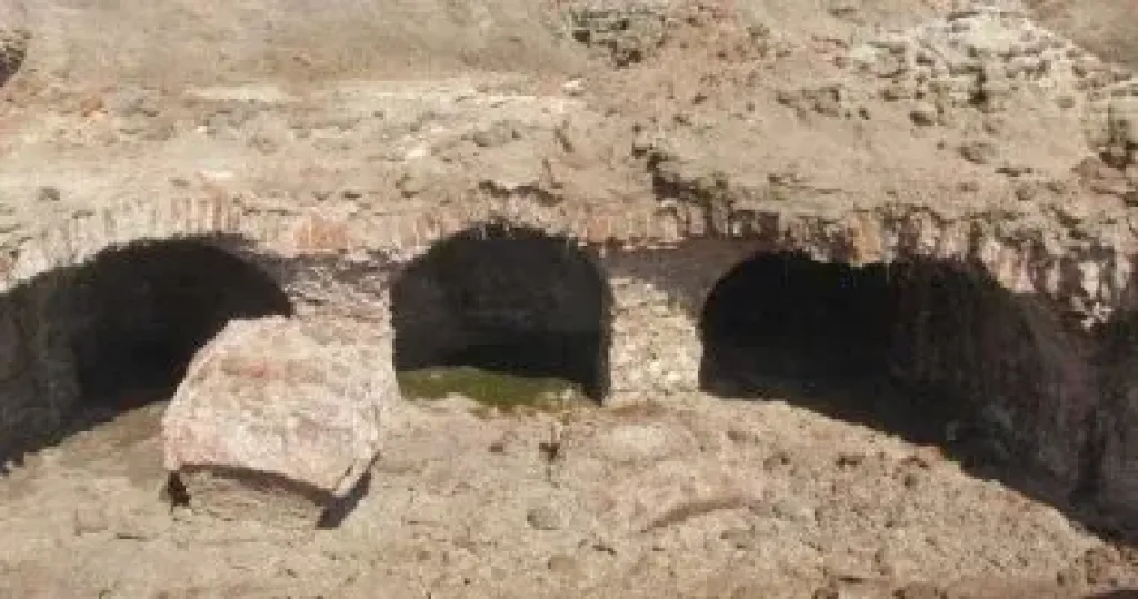 جزيرة تنيس.