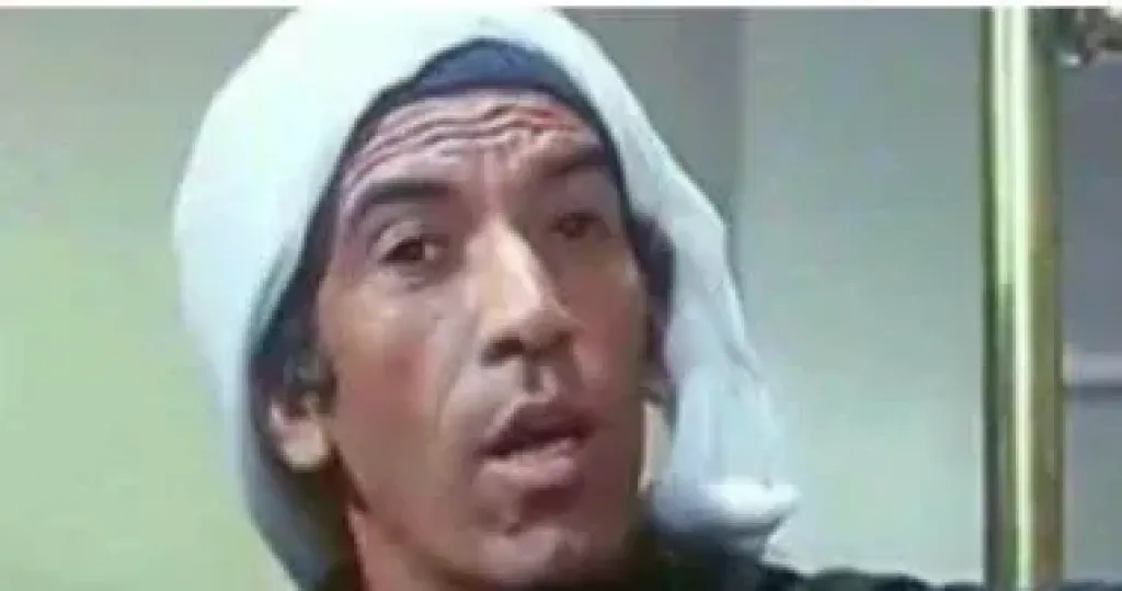 الموجى