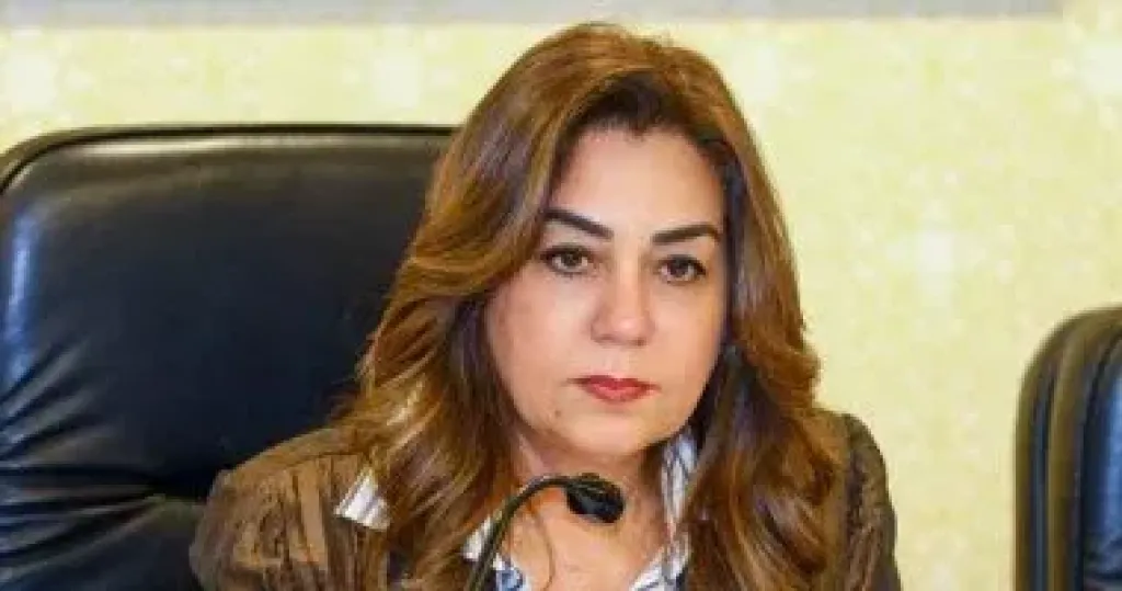 التنمية المحلية 