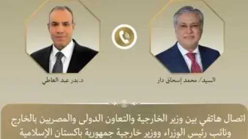 وزير الخارجية يبحث مع نظيره الباكستانى التطورات الإقليمية والجهود المشتركة