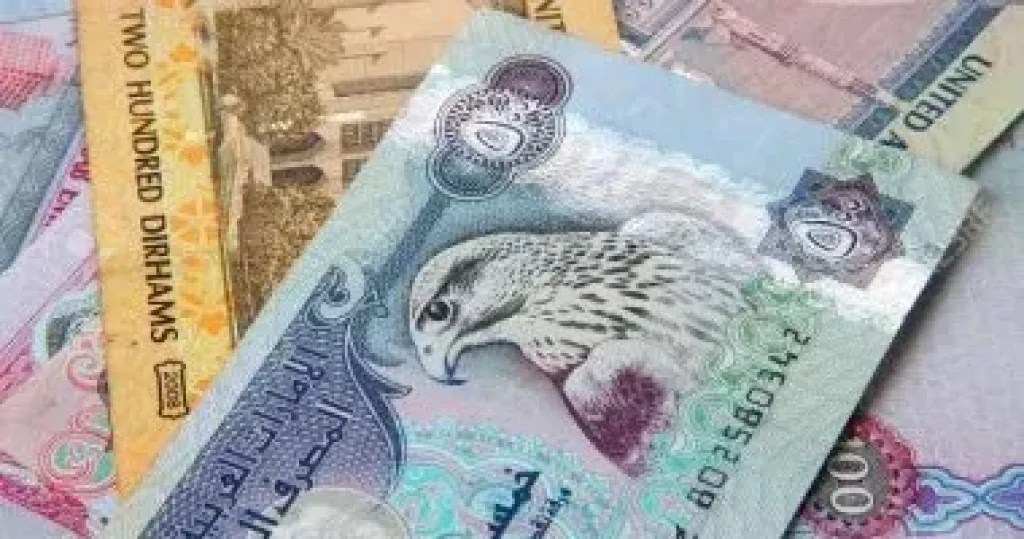 الدرهم الإماراتى 