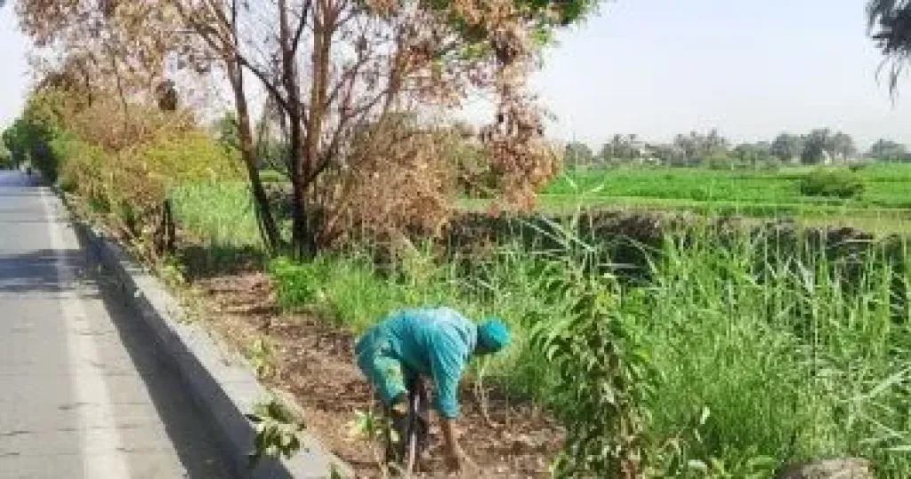 مدينة الأقصر 