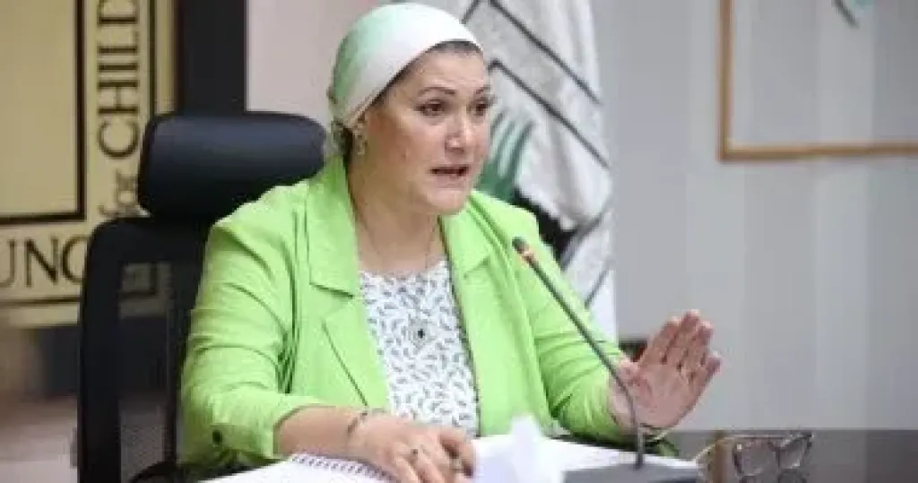 المجلس القومي للطفولة والأمومة