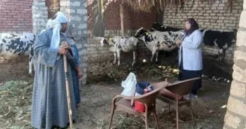 تحصين نحو 75 ألف رأس ماشية