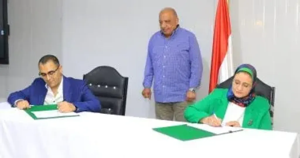 وزير الكهرباء