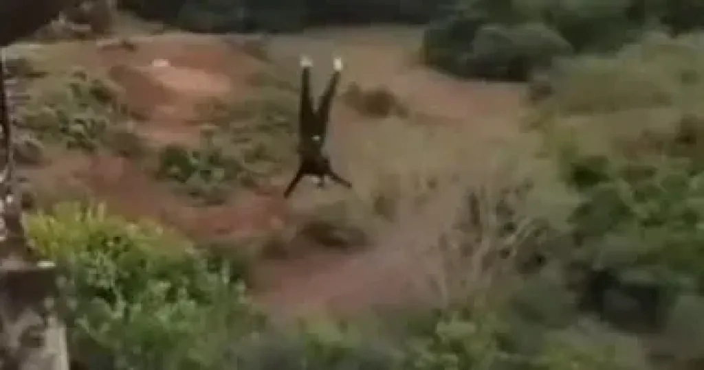 قفزة ترفيهية 
