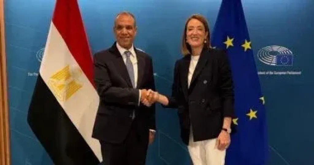 . بدر عبد العاطي وزير الخارجية 