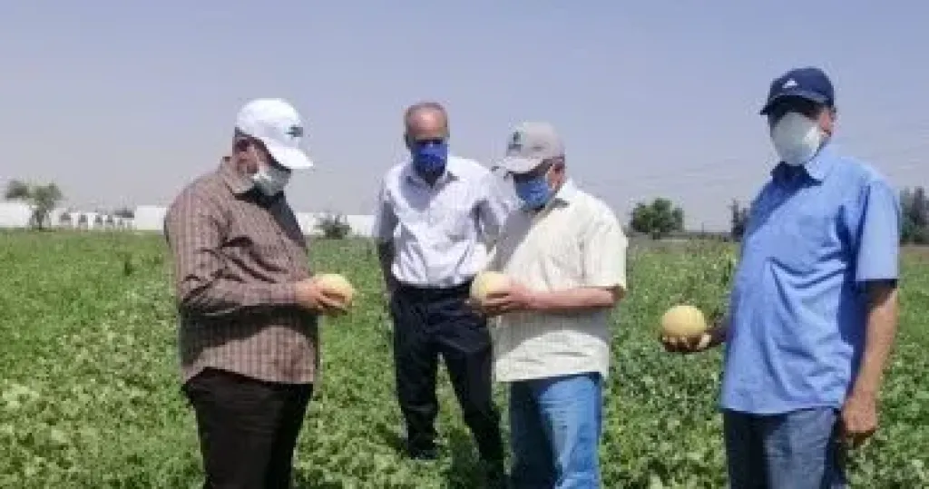رئيس مركز البحوث الزراعية: 