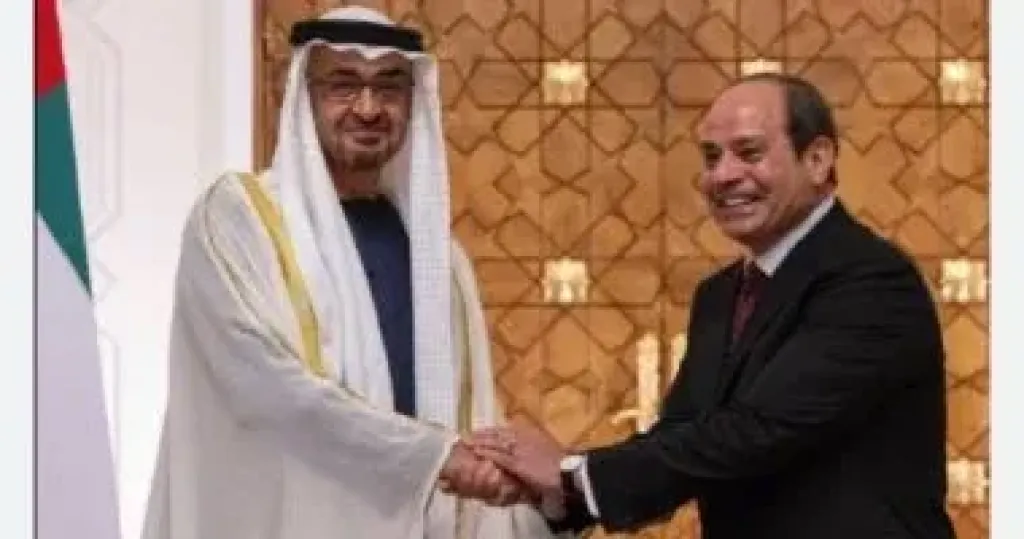 الرئيس السيسى 